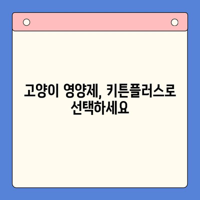 키튼플러스, 합리적인 가격으로 성장기 고양이 영양 관리 | 키튼플러스, 고양이 영양제, 성장, 건강