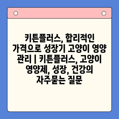 키튼플러스, 합리적인 가격으로 성장기 고양이 영양 관리 | 키튼플러스, 고양이 영양제, 성장, 건강