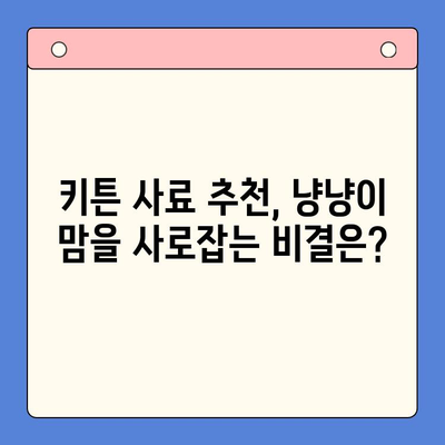 키튼 사료 비교 체험 결과| 냥냥이 맘을 사로잡은 최고의 선택은? | 키튼, 사료 비교, 체험 후기, 추천