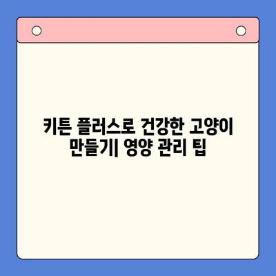 키튼 플러스 가격, 함량, 섭취 방법 완벽 정리| 영양제 선택 후기 | 키튼 플러스, 고양이 영양제, 건강 관리