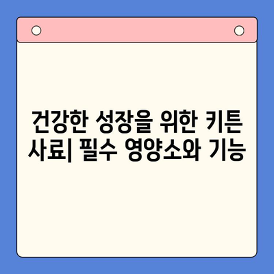 성장하는 고양이를 위한 키튼 플러스 대안| 경쟁사 제품 비교분석 | 고양이 사료, 키튼 사료, 성장 단계, 영양, 건강