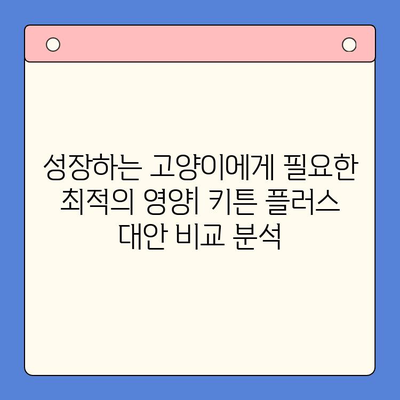 성장하는 고양이를 위한 키튼 플러스 대안| 경쟁사 제품 비교분석 | 고양이 사료, 키튼 사료, 성장 단계, 영양, 건강