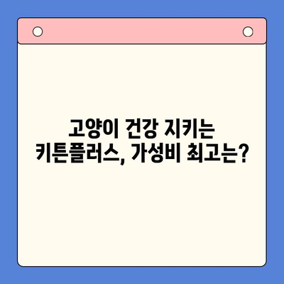 키튼플러스 영양제 가성비 비교| 가격 대비 효능, 어떤 제품이 최고일까? | 키튼플러스, 영양제, 가성비, 비교, 효능