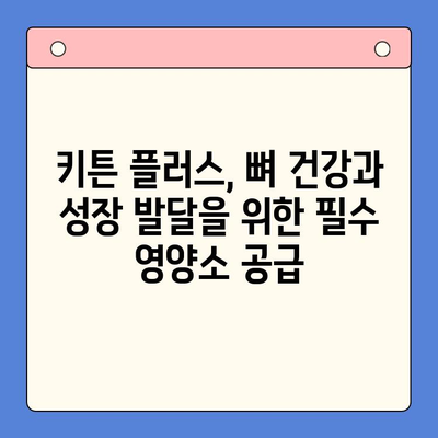 키튼 플러스 성장 영양제| 아이들의 건강한 성장을 위한 선택 | 어린이 성장, 건강 식품, 키튼 플러스 효능