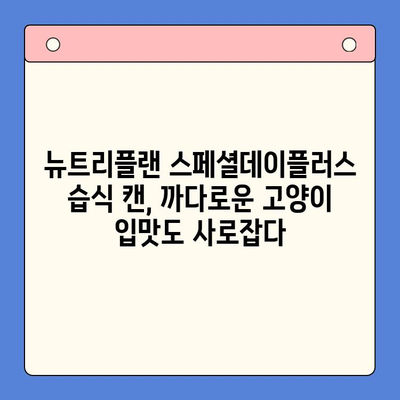 고양이 습식 캔 추천| 뉴트리플랜 스페셜데이플러스 상세 분석 | 고양이 사료, 영양, 건강, 급여 가이드