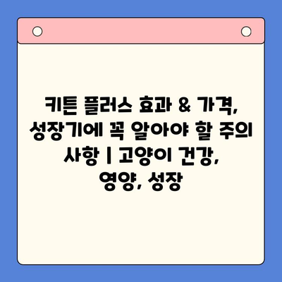 키튼 플러스 효과 & 가격, 성장기에 꼭 알아야 할 주의 사항 | 고양이 건강, 영양, 성장