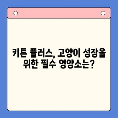 키튼 플러스 효과 & 가격, 성장기에 꼭 알아야 할 주의 사항 | 고양이 건강, 영양, 성장