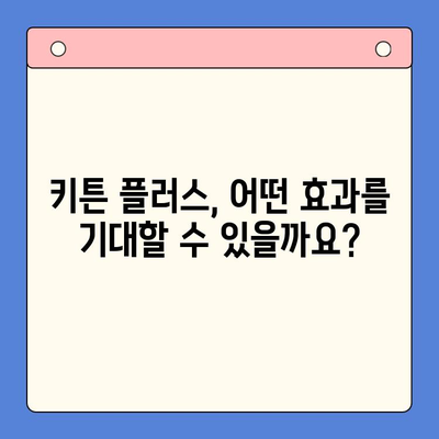 키튼 플러스 효과 & 가격, 성장기에 꼭 알아야 할 주의 사항 | 고양이 건강, 영양, 성장