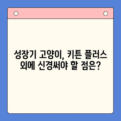 키튼 플러스 효과 & 가격, 성장기에 꼭 알아야 할 주의 사항 | 고양이 건강, 영양, 성장