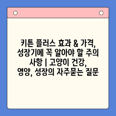 키튼 플러스 효과 & 가격, 성장기에 꼭 알아야 할 주의 사항 | 고양이 건강, 영양, 성장