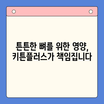 동국제약 키튼플러스| 성장기 아이 건강을 위한 필수 영양제 | 키튼플러스 효능, 성장판, 뼈 건강, 면역력 강화