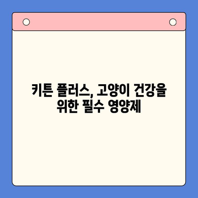 키튼 플러스 영양제 비교분석| 가격, 성분, 효능 | 키튼 플러스, 고양이 영양제, 건강, 성장, 면역