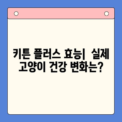 키튼 플러스 영양제 비교분석| 가격, 성분, 효능 | 키튼 플러스, 고양이 영양제, 건강, 성장, 면역