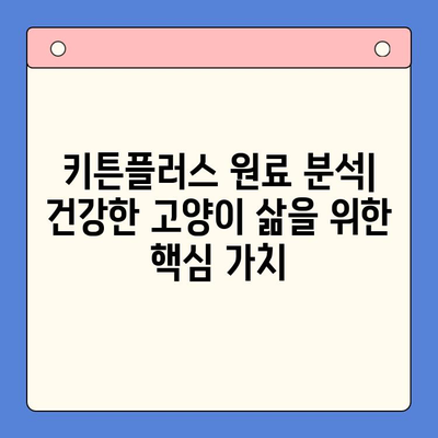 키튼플러스 원료 분석| 고양이 건강 위한 영양 성분과 가치 | 키튼플러스, 고양이 사료, 원료 분석, 영양 성분