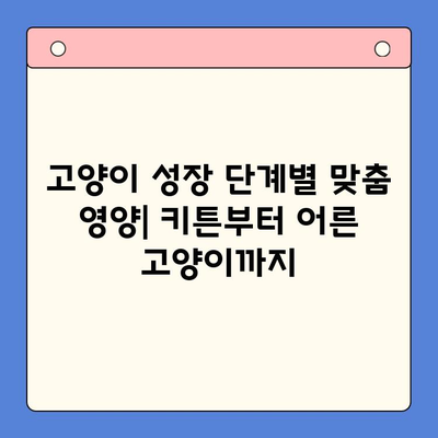 키튼플러스 가격 비교| 고양이 성장에 좋은 음식 추천 | 키튼, 고양이 사료, 영양 정보, 성장 단계
