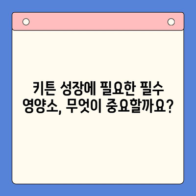 키튼 플러스 대안 찾기| 유사 효과 영양제 비교 분석 | 고양이 건강, 영양제 추천, 키튼 성장