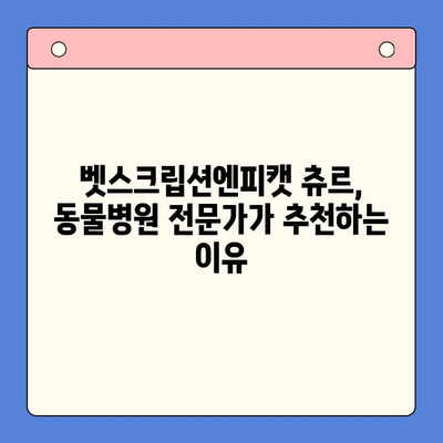 고양이 추르| 벳스크립션엔피캣, 동물병원 전용 츄르, 처방사료 이야기 | 고양이 건강, 영양, 벳스크립션, 처방사료, 츄르