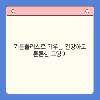 키튼플러스 성장 효과| 실제 사용 후기로 확인하는 성장 증진 비법 | 키튼플러스, 고양이, 성장, 건강, 영양, 후기