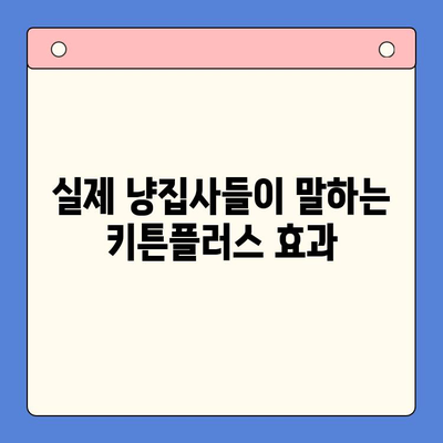 키튼플러스 성장 효과| 실제 사용 후기로 확인하는 성장 증진 비법 | 키튼플러스, 고양이, 성장, 건강, 영양, 후기