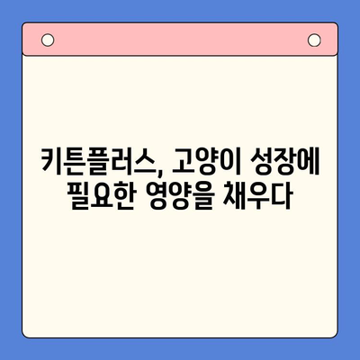 키튼플러스 성장 효과| 실제 사용 후기로 확인하는 성장 증진 비법 | 키튼플러스, 고양이, 성장, 건강, 영양, 후기