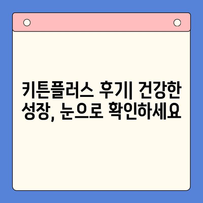 키튼플러스 성장 효과| 실제 사용 후기로 확인하는 성장 증진 비법 | 키튼플러스, 고양이, 성장, 건강, 영양, 후기