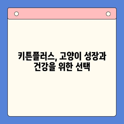키튼플러스 성장 효과| 실제 사용 후기로 확인하는 성장 증진 비법 | 키튼플러스, 고양이, 성장, 건강, 영양, 후기