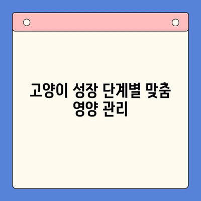 키튼플러스 가격보다 중요한 것은? | 고양이 성장 관리 필수 가이드