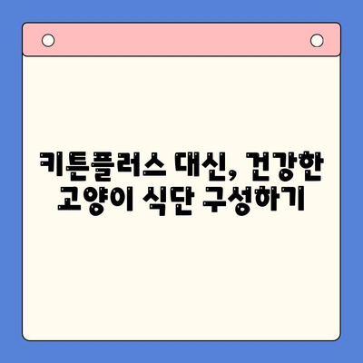 키튼플러스 가격보다 중요한 것은? | 고양이 성장 관리 필수 가이드