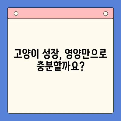 키튼플러스 가격보다 중요한 것은? | 고양이 성장 관리 필수 가이드