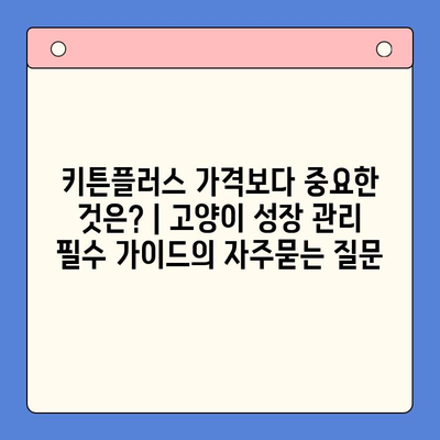 키튼플러스 가격보다 중요한 것은? | 고양이 성장 관리 필수 가이드