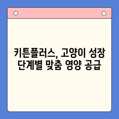 키튼플러스 가격 비교| 가성비 뛰어난 성장 영양제 찾기 | 고양이 영양제, 키튼플러스 가격, 성장 단계, 영양 성분