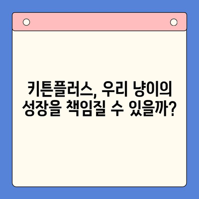 키튼플러스 성장 영양제 후기| 냥냥이 건강을 위한 선택? | 키튼플러스, 고양이 영양제, 성장, 후기, 효과