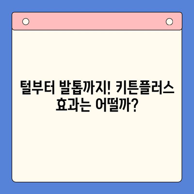키튼플러스 성장 영양제 후기| 냥냥이 건강을 위한 선택? | 키튼플러스, 고양이 영양제, 성장, 후기, 효과