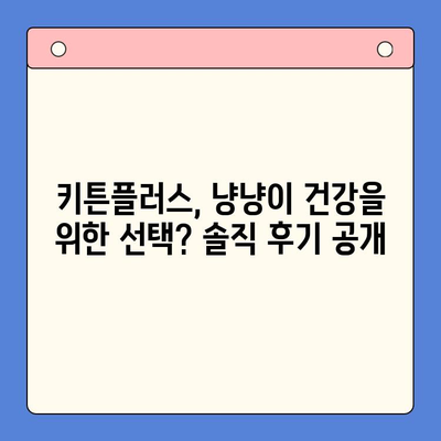 키튼플러스 성장 영양제 후기| 냥냥이 건강을 위한 선택? | 키튼플러스, 고양이 영양제, 성장, 후기, 효과