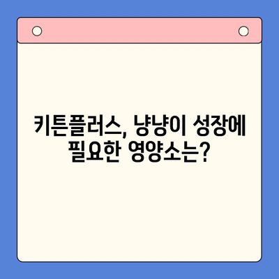 키튼플러스 성장 영양제 후기| 냥냥이 건강을 위한 선택? | 키튼플러스, 고양이 영양제, 성장, 후기, 효과