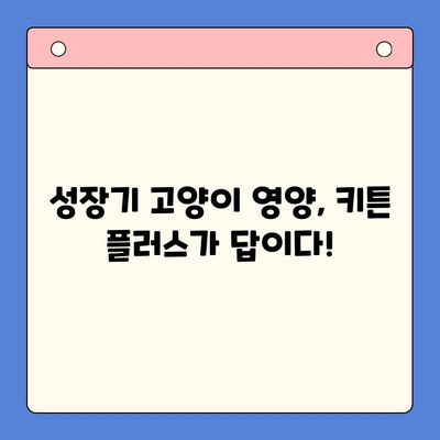 키튼 플러스 가격 & 성장기 영양 정보| 여름 방학 FGO 효능 완벽 분석 | 키튼 플러스, 고양이, 성장, FGO, 여름 방학,  영양, 가격