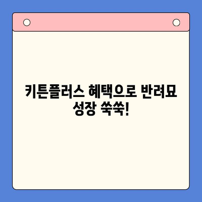 키튼플러스 혜택으로 반려묘 성장 쑥쑥! | 키튼플러스, 성장관리, 필수템, 고양이, 건강