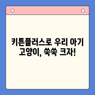 키튼플러스 혜택으로 반려묘 성장 쑥쑥! | 키튼플러스, 성장관리, 필수템, 고양이, 건강