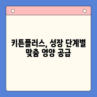 키튼플러스 혜택으로 반려묘 성장 쑥쑥! | 키튼플러스, 성장관리, 필수템, 고양이, 건강