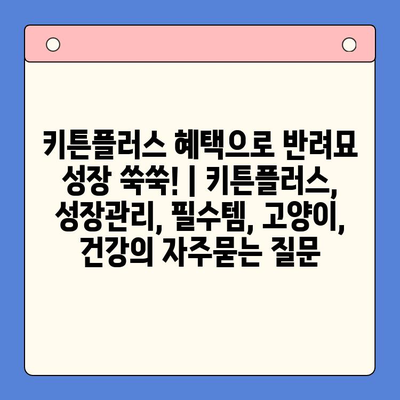 키튼플러스 혜택으로 반려묘 성장 쑥쑥! | 키튼플러스, 성장관리, 필수템, 고양이, 건강