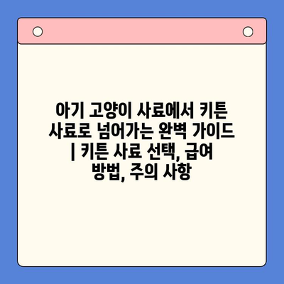 아기 고양이 사료에서 키튼 사료로 넘어가는 완벽 가이드 | 키튼 사료 선택, 급여 방법, 주의 사항