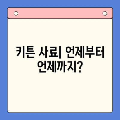 아기 고양이 사료에서 키튼 사료로 넘어가는 완벽 가이드 | 키튼 사료 선택, 급여 방법, 주의 사항