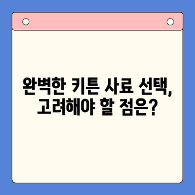 아기 고양이 사료에서 키튼 사료로 넘어가는 완벽 가이드 | 키튼 사료 선택, 급여 방법, 주의 사항