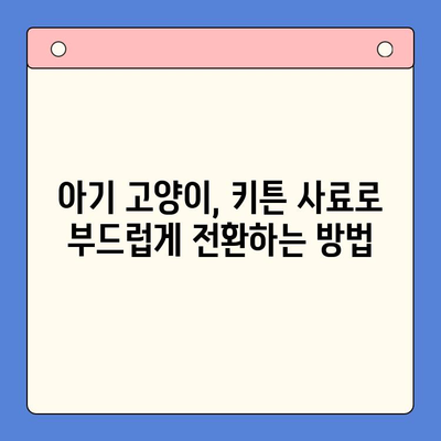 아기 고양이 사료에서 키튼 사료로 넘어가는 완벽 가이드 | 키튼 사료 선택, 급여 방법, 주의 사항