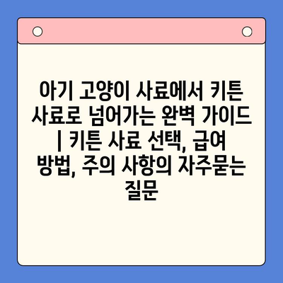 아기 고양이 사료에서 키튼 사료로 넘어가는 완벽 가이드 | 키튼 사료 선택, 급여 방법, 주의 사항