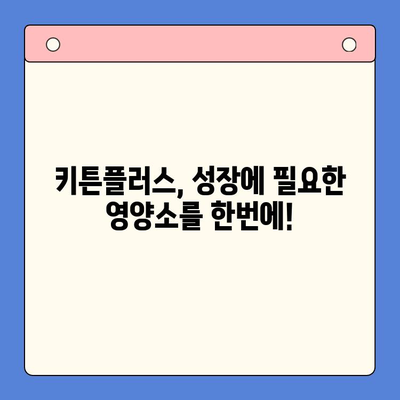 키튼플러스 가격 & 겨울 방학 성장 영양소| 아이 건강 쑥쑥 키우는 완벽 가이드 | 키튼플러스, 성장판, 영양제, 겨울철 건강