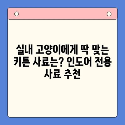 아기 고양이 키튼 사료 비교| 웰츠, 헤일로, 뉴트로 & 인도어 사료 추천 | 키튼, 고양이 사료, 영양, 성장, 건강