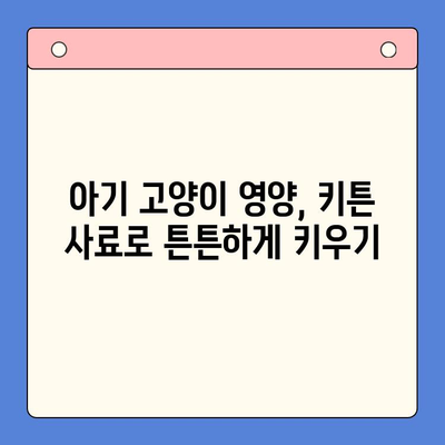 아기 고양이 키튼 사료 비교| 웰츠, 헤일로, 뉴트로 & 인도어 사료 추천 | 키튼, 고양이 사료, 영양, 성장, 건강