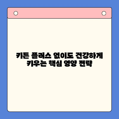 키튼 플러스 구독 중단 후에도 놓치지 말아야 할 성장기 아이 건강 관리법 | 키튼 플러스, 건강 관리, 성장기, 영양