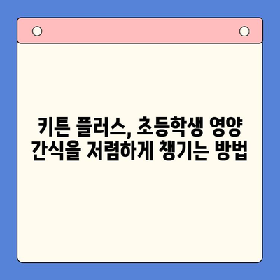 키튼 플러스 낮은 가격 비교| 초등학생 영양 간식, 저렴하게 해결하기 | 키튼 플러스, 저렴한 간식, 초등학생 영양, 가격 비교